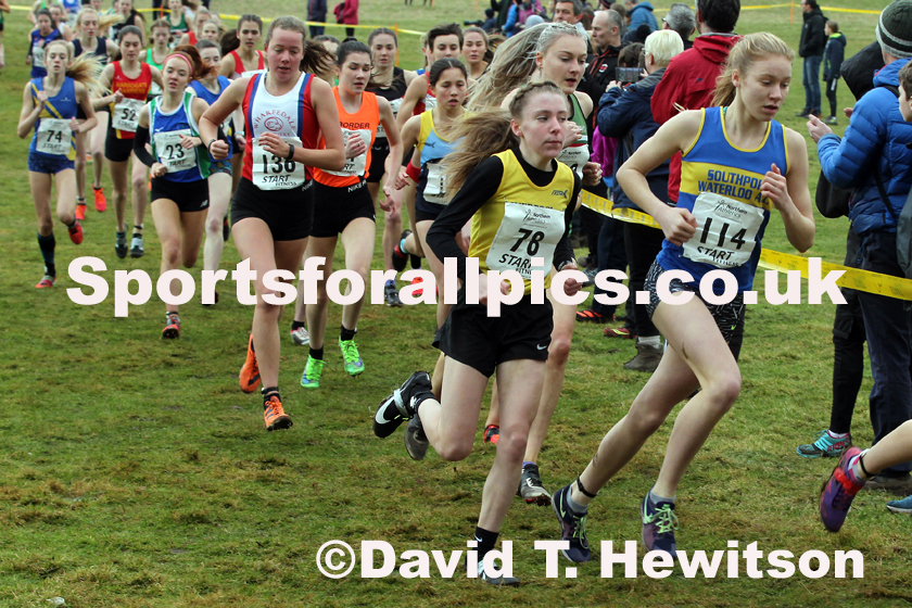 Womens under-17 Northern Cross Country Champs., Camp Hill Estate, Kirklington.  Photo: David T. Hewitson/Sports for All Pics